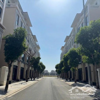 Bán Căn Shophouse Cạnh Chung Cư - Dự Án Vinhomes Ocean Park 3, Diện Tích 60M2, Giá Bán 8,7 Tỷ