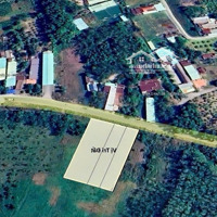 Đất Xây Trọ. 10X56. Sổ Riêng. Sát Bên Kcn Bàu Bàng - Bình Dương