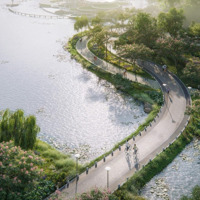 Eco Retreat-Rừng Retreat Của Riêng Bạn. Đầu Tư Sinh Lời Bền Vững.