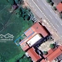 Tân Học - Thái Thuỵ - Tb Diện Tích: 100M2 (Full Thổ Cư) Tim Đường 21M Ngay Chợ Gạch