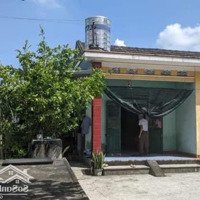 Bán Đất Thổ Cư, Ô Tô Vào Tận Đất Lại Xuân Thủy Nguyên Hải Phòng Giá Giật Mình Rẻ Hơn Đất Vườn 3. 5 Triệu