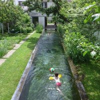 Bán Đất Thổ Cư, Ô Tô Vào Tận Đất Lại Xuân Thủy Nguyên Hải Phòng Giá Giật Mình Rẻ Hơn Đất Vườn 3. 5 Triệu
