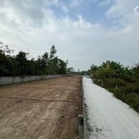 Bán lô đất TDP Gẩy Định Trung,gần trường Chuyên Vĩnh Yên Park Hill gía 1,0x tỷ