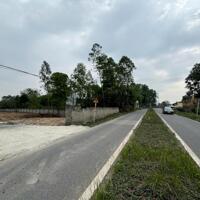 Bán lô đất TDP Gẩy Định Trung,gần trường Chuyên Vĩnh Yên Park Hill gía 1,0x tỷ