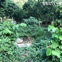 Cho thuê đất tại Yên Thuỷ, Hoà Bình