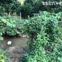 Cho thuê đất tại Yên Thuỷ, Hoà Bình