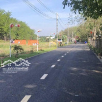 Bán Đất Mặt Tiền Nhựa Ngay Chợ Tân Long, Bình Dương