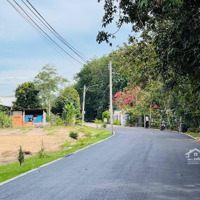 Bán Đất Mặt Tiền Nhựa Ngay Chợ Tân Long, Bình Dương