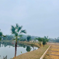 Bán Nhanh Mảnh Đất Sổ Đỏ Lâu Dài Trục Đường Chính Lớn, Cổng Vào Sân Golf Kinh Doanh Sầm Uất