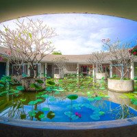 Bán Cặp Đất Mộ Tại Sala Garden, Tân Hiệp, Long Thành, Đồng Nai, Cặp Mộ Giá Siêu Hời 149 Triệu, 9 M2