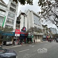 Phố Kim Mã 50M2 - 22 Tỷ Nhỉnh, Măt 4.6M, Đoạn Đẹp Nhất Phố - Kinh Doanh Sầm Uất