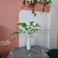 Chung Cư Xã Hội Becamex Định Hòa, Mình Còn 20 Căn ,Sổ Hồng :300 Triệu (100% Tiền) Sài Gòn Mua Được