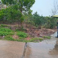 Chính Chủ Bán Nhanh 2 Mảnh Đất Tại Thôn Tiên Chu Xã Bắc Sơn, Huyện Sóc Sơn