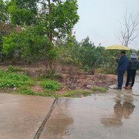 Chính Chủ Bán Nhanh 2 Mảnh Đất Tại Thôn Tiên Chu Xã Bắc Sơn, Huyện Sóc Sơn