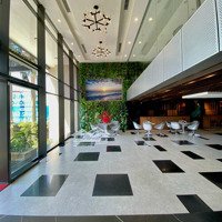 13X Tỷ, Chuyển Nhượng Toà Văn Phòng Nguyễn Hữu Thọ Doanh Thu Gần 900 Triệu/Tháng