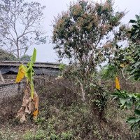 Bán Đất Diện Tích 1773M2 Thổ Cư 170M2