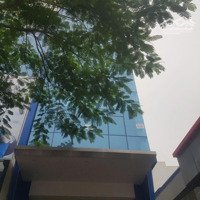 Bán Nhà Mặt Phố 2 Thoáng Vũ Thạnh 140M2 7 Tầng Thang Máy Thông Sànmặt Tiền4.1M 42.5 Tỷ Đống Đa
