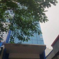 Bán Nhà Mặt Phố 2 Thoáng Vũ Thạnh 140M2 7 Tầng Thang Máy Thông Sànmặt Tiền4.1M 42.5 Tỷ Đống Đa