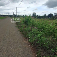 Bán Đất Đẹp Tại Xã Suối Nghệ, Châu Đức, Bà Rịa Vũng Tàu, 1,3 Tỷ, 400M2