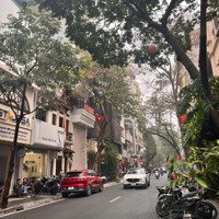 Bán 115M Đất Mặt Phố Lò Đúc - Kim Ngưu Hai Bà Trưng Giá Đầu Tư 39 Tỷ Xây Toà Vp, Kd Sầm Uất