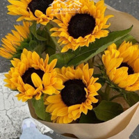 Dòng Tiền 16 Triệu/Th, Trung Tâm Du Lịch Biển Mỹ Khê, Mặt Tiền 2 Tầng Lê Tấn Toán, Sơn Trà Chỉ 9.9 Tỷ.