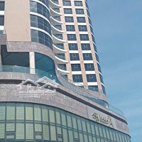 Bán Đất Tại Đường Lê Đức Thọ, Nại Hiên Đông, Sơn Trà, Đà Nẵng, 35 Tỷ, 845 M2, Giá Ưu Đãi