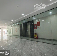 Bán Gấp Chia Tài Sản!! Toà Nhà 1300M2 Dtsd, Hầm+7Tầng (8.5Mx35M) . Giá Chỉ 72 Tỷ