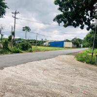 MỞ RỘNG KD BÁN NHANH LÔ ĐẤT 45X55m=2225M2 MT ĐƯỜNG 12M THÔNG CHỢ, KCN DÂN ĐÔNG GIÁ 480TR