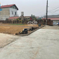 Chỉ Nhỉnh 1 Tỷ 81M2 Cộng Hoà-Phù Linh-Sóc Sơn-Hn
