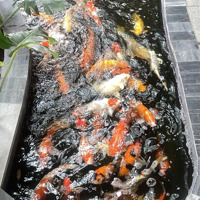 2.7Tỷ/Căn Góc 2 Phòng Ngủ 2 Vệ Sinh Sổ Sẵn, Nhà Mới Trực Tiếp Từ Cdt, View Hồ Bơi, Không Cạnh Nhà Ai: 0933910039