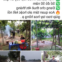 Đất Nông Nghiệp 1080M2 Của Gia Đình.điện Nước Đầy Đủ Có Nhà C4 Và Quây Kín Hàng Rào Sổ Đỏ 50 Năm