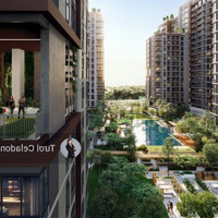Căn 1 Phòng Ngủelysian 44M2, Ký Hđmb 137 Triệu (5%), Căn Hộ Xanh Mđxd Chỉ 35% Ngay Mặt Tiền Lò Lu