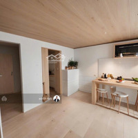 Xe Hơi Đậu Cửa Nhà Hoàng Hoa Thám, P7 (5X17M) Tiện Xây Mới. 10 Tỷ Tl