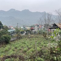 Bán 408M2 Full Thổ Cư Lâm Sơn, Lương Sơn, Hoà Bình Giá Đầu Tư