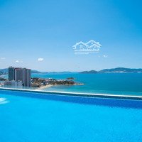 Bán Cc Tại Scenia Bay Nha Trang, 3 Tỷ, 65M2, 2 Phòng Ngủ 1 Vệ Sinh View Biển Nổi Bật