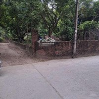 Bán Lô Góc Ba Mặt Tiền Thôn An Cảnh _ Xã Hàm Tử _ Huyện Khoái Châu _ Tỉnh Hy.diện Tích 200M 2