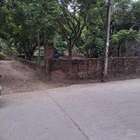 Bán Lô Góc Ba Mặt Tiền Thôn An Cảnh _ Xã Hàm Tử _ Huyện Khoái Châu _ Tỉnh Hy.diện Tích 200M 2