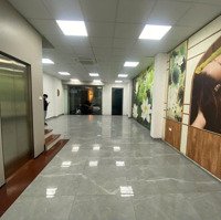 Cho Thuê Lk Roman Plaza 75M X 5 Tầng Thông Sàn Thang Máy 42 Triệu 0903409888