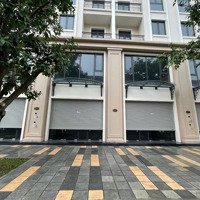 Shophouse Vinhomes Ocean Park 3-75M Đại Lộ Hừng Đông 25M Cơ Hội Đầu Tư Siêu Lợi Nhuận!