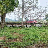 Diện Tích: 402 M,Mặt Tiền 18M Nở Hậu.phía Sau Suối Chảy Quanh Năm Tại Yên Bình, Thạch Thất, Hà Nội.