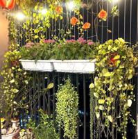 Bán 3 căn 3pn chung cư Bình Minh Garden Đức Giang