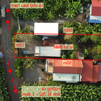 Bán Nhà Vườn Tại Bàu Hàm, 1,6 Tỷ, 500M2, Pháp Lý Đầy Đủ, Mặt Tiền 10M
