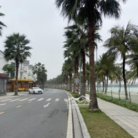 Hải Âu Vinhomes Ocean Park - Biểu Tượng Sống Thượng Lưu,Diện Tích275M2, View Biển Hồ, Kinh Doanh Vip