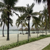 Hải Âu Vinhomes Ocean Park - Biểu Tượng Sống Thượng Lưu,Diện Tích275M2, View Biển Hồ, Kinh Doanh Vip