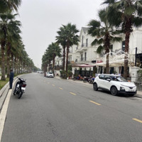 Hải Âu Vinhomes Ocean Park - Biểu Tượng Sống Thượng Lưu,Diện Tích275M2, View Biển Hồ, Kinh Doanh Vip