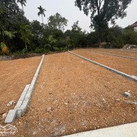 Lô Đất Nhỏ Nhắn, Xinh Xắn, Đầu Tư Sinh Lời Ổn Định