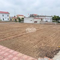 Chính Chủ Cần Bán Lô Đất Biển Quất Lâm Giá Ưu Đãi, Có Sẵn Sổ, Đất Full Thổ Cư
