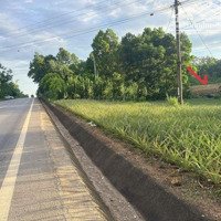 Cần Bán Gấp Đất Thọ Kiên, Ngọc Lặc, Thanh Hóa Mặt Đường Hồ Chí Minh Siêu Hót Có 102
