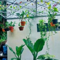 Bán nhà cách MẶT TIỀN Nguyễn Văn Tăng đúng 1 căn, Long Thạnh Mỹ, Thủ Đức, 161m2 ngang 6m, 7 tỷ 7