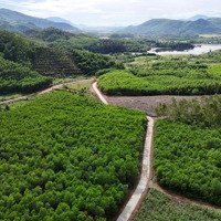 Bán 1,8 Hecta Đất Giáp Đường Betong Gần 200M Xã Diên Tân, Diên Khánh Giá Chỉ 135K/M Liên Hệ: 0788.558.552